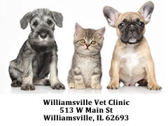 Williamsville Vet Clinic